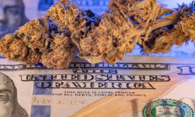 Cannabis & cash